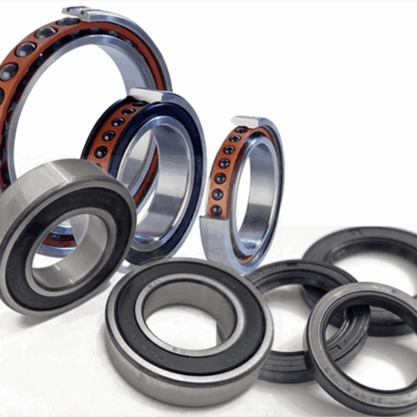 Ceramic Wheel Bearing Set-3 Energica Ceramic Hybrid Wheel Bearings with oil Seals