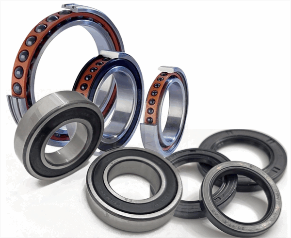 Energica Ceramic Hybrid Wheel Bearings with oil Seals