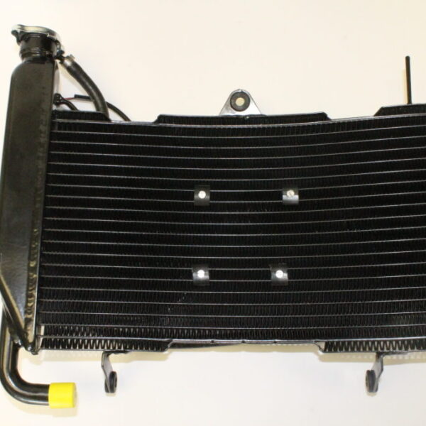 Motus Radiator Assembly